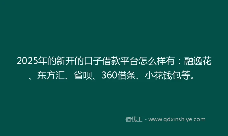 2025年的新开的口子借款平台怎么样有：融逸花、东方汇、省呗、360借条、小花钱包等。