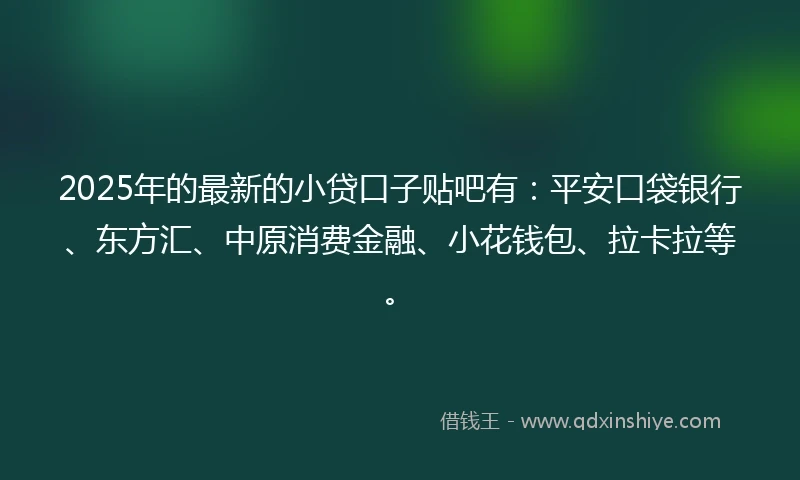 2025年的最新的小贷口子贴吧有：平安口袋银行、东方汇、中原消费金融、小花钱包、拉卡拉等。