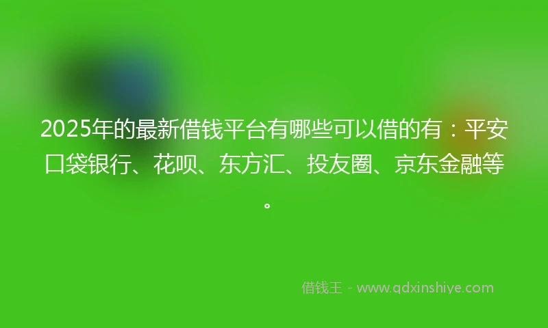 2025年的最新借钱平台有哪些可以借的有：平安口袋银行、花呗、东方汇、投友圈、京东金融等。