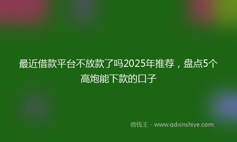 最近借款平台不放款了吗2025年推荐,盘点5个高炮能下款的口子