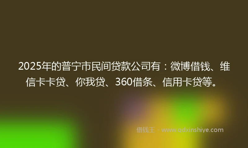 2025年的普宁市民间贷款公司有：微博借钱、维信卡卡贷、你我贷、360借条、信用卡贷等。