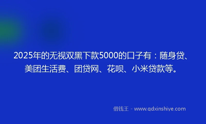 2025年的无视双黑下款5000的口子有：随身贷、美团生活费、团贷网、花呗、小米贷款等。