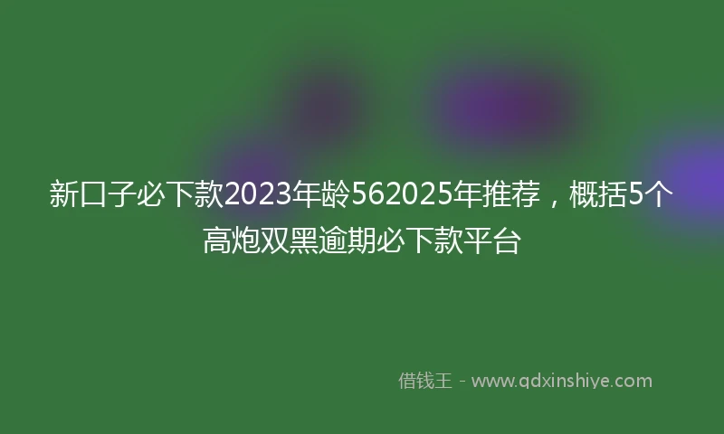 新口子必下款2023年龄562025年推荐，概括5个高炮双黑逾期必下款平台