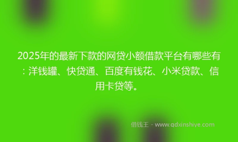 2025年的最新下款的网贷小额借款平台有哪些有：洋钱罐、快贷通、百度有钱花、小米贷款、信用卡贷等。