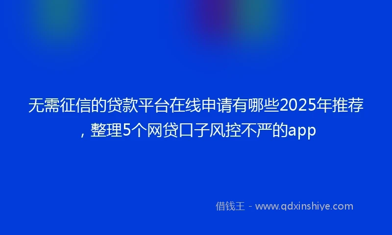 无需征信的贷款平台在线申请有哪些2025年推荐，整理5个网贷口子风控不严的app