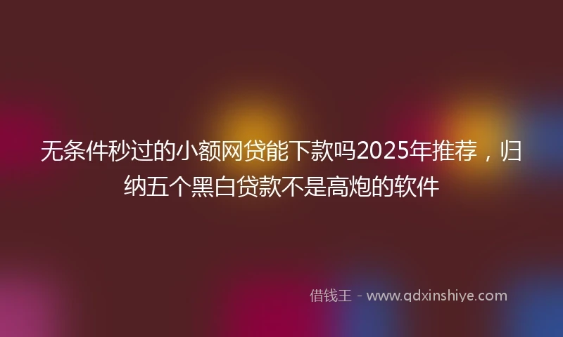 无条件秒过的小额网贷能下款吗2025年推荐，归纳五个黑白贷款不是高炮的软件