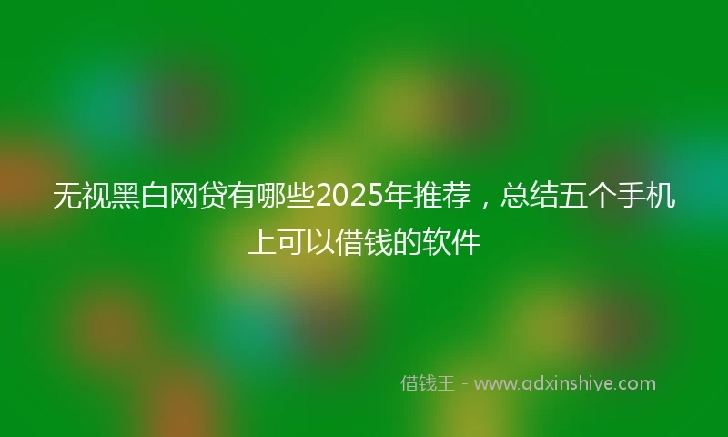 无视黑白网贷有哪些2025年推荐，总结五个手机上可以借钱的软件