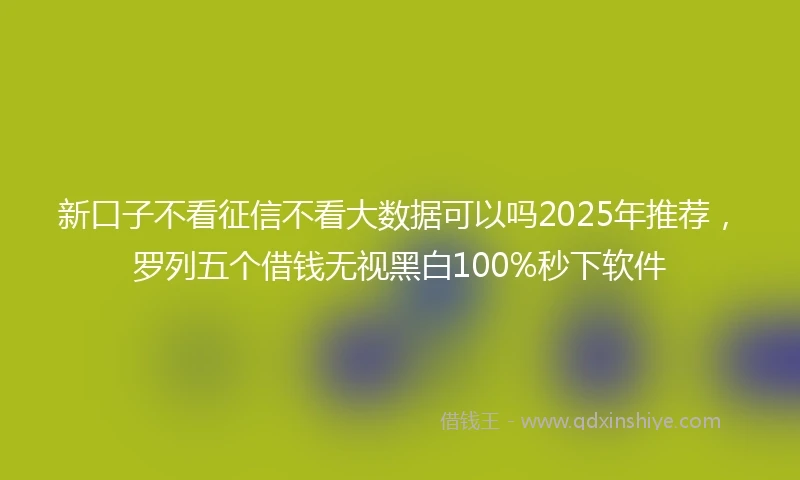 新口子不看征信不看大数据可以吗2025年推荐,罗列五个借钱无视黑白100%秒下软件