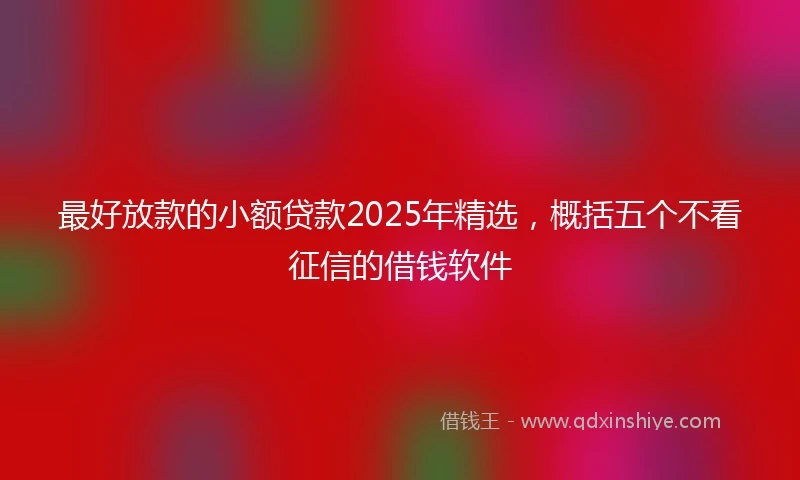 最好放款的小额贷款2025年精选,概括五个不看征信的借钱软件