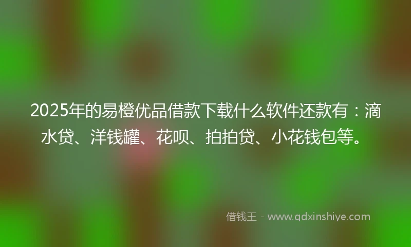 2025年的易橙优品借款下载什么软件还款有：滴水贷、洋钱罐、花呗、拍拍贷、小花钱包等。