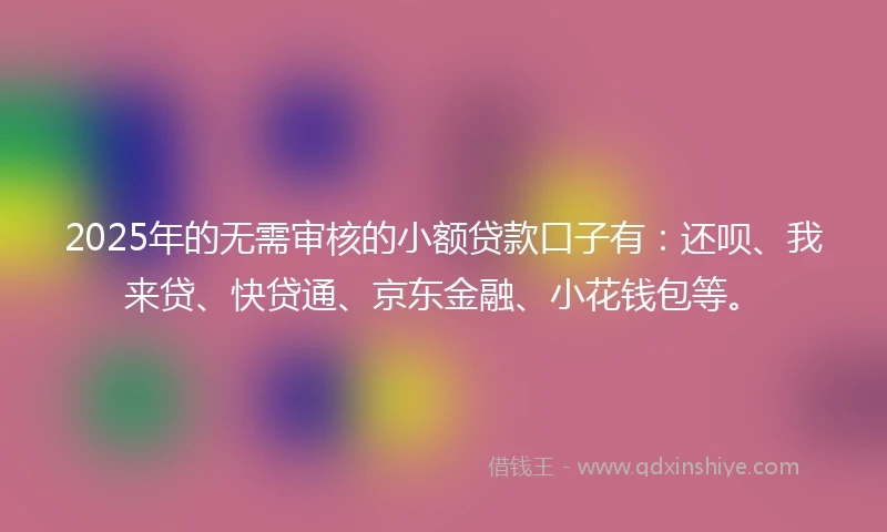 2025年的无需审核的小额贷款口子有：还呗、我来贷、快贷通、京东金融、小花钱包等。