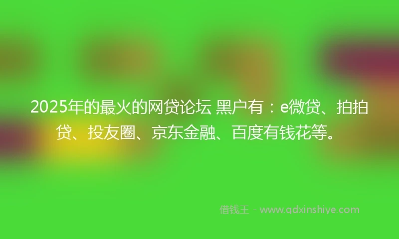 2025年的最火的网贷论坛 黑户有：e微贷、拍拍贷、投友圈、京东金融、百度有钱花等。