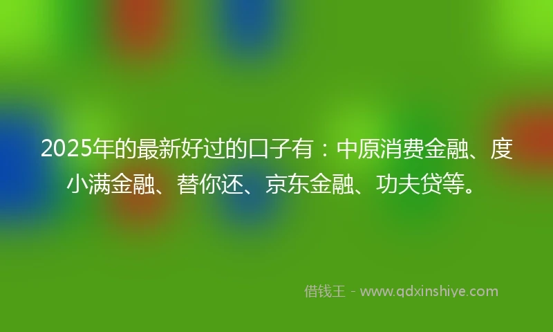 2025年的最新好过的口子有：中原消费金融、度小满金融、替你还、京东金融、功夫贷等。