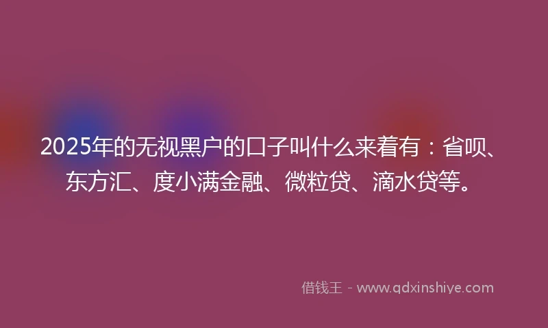 2025年的无视黑户的口子叫什么来着有：省呗、东方汇、度小满金融、微粒贷、滴水贷等。
