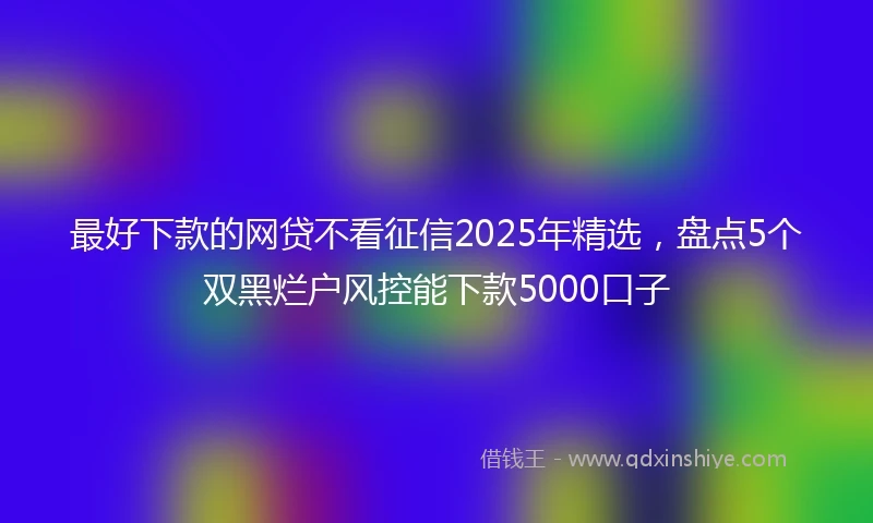 最好下款的网贷不看征信2025年精选，盘点5个双黑烂户风控能下款5000口子