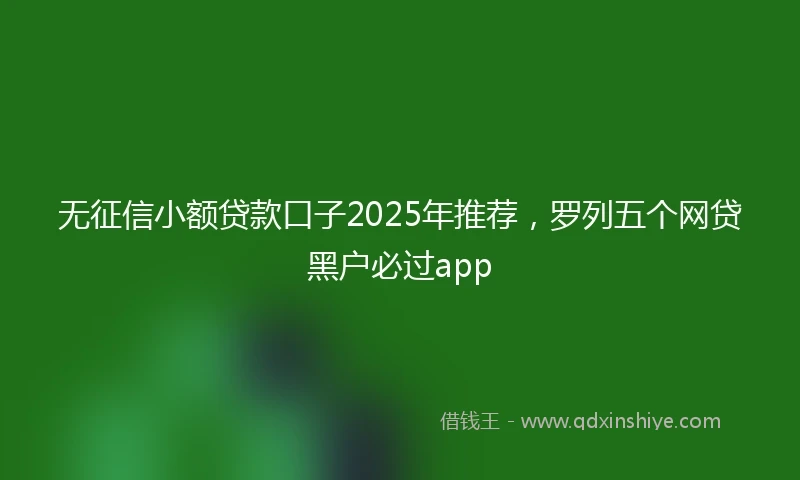 无征信小额贷款口子2025年推荐，罗列五个网贷黑户必过app
