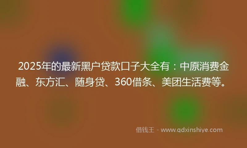 2025年的最新黑户贷款口子大全有：中原消费金融、东方汇、随身贷、360借条、美团生活费等。