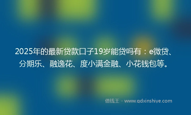 2025年的最新贷款口子19岁能贷吗有：e微贷、分期乐、融逸花、度小满金融、小花钱包等。
