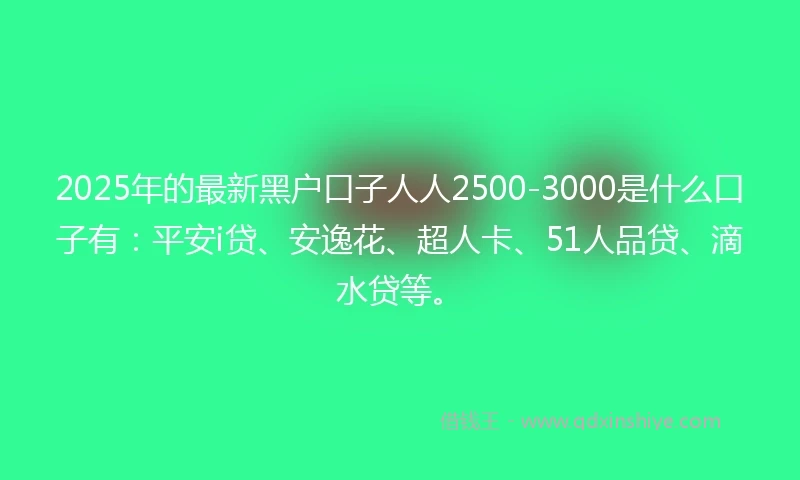 2025年的最新黑户口子人人2500-3000是什么口子有：平安i贷、安逸花、超人卡、51人品贷、滴水贷等。