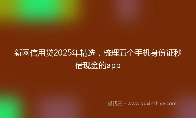 新网信用贷2025年精选，梳理五个手机身份证秒借现金的app