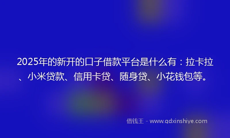 2025年的新开的口子借款平台是什么有：拉卡拉、小米贷款、信用卡贷、随身贷、小花钱包等。