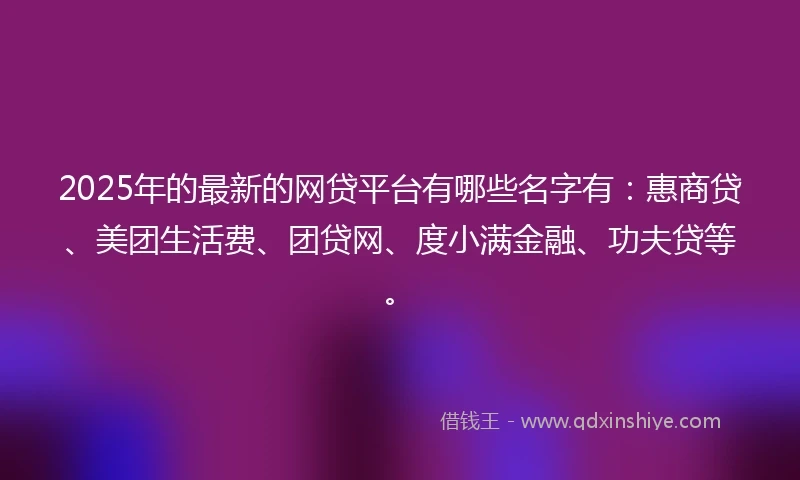 2025年的最新的网贷平台有哪些名字有：惠商贷、美团生活费、团贷网、度小满金融、功夫贷等。