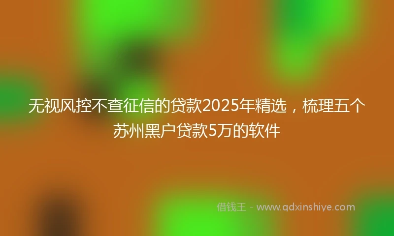 无视风控不查征信的贷款2025年精选，梳理五个苏州黑户贷款5万的软件