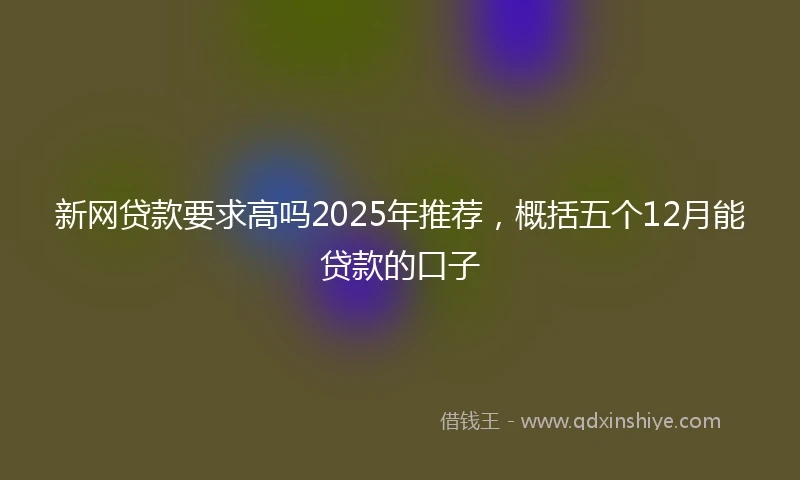 新网贷款要求高吗2025年推荐，概括五个12月能贷款的口子