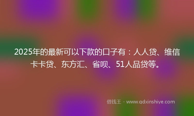 2025年的最新可以下款的口子有：人人贷、维信卡卡贷、东方汇、省呗、51人品贷等。
