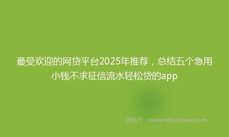 最受欢迎的网贷平台2025年推荐，总结五个急用小钱不求征信流水轻松贷的app