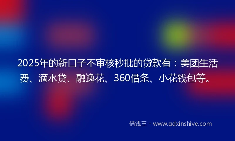 2025年的新口子不审核秒批的贷款有：美团生活费、滴水贷、融逸花、360借条、小花钱包等。