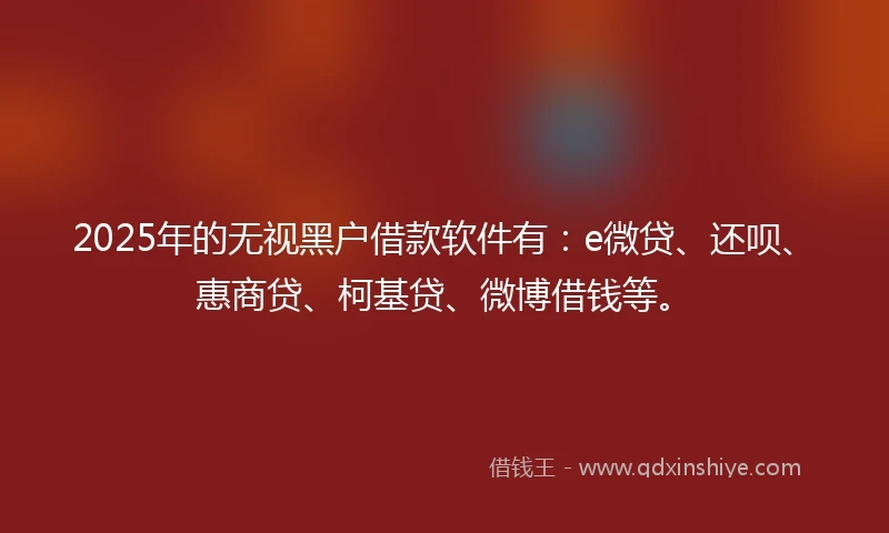 2025年的无视黑户借款软件有：e微贷、还呗、惠商贷、柯基贷、微博借钱等。