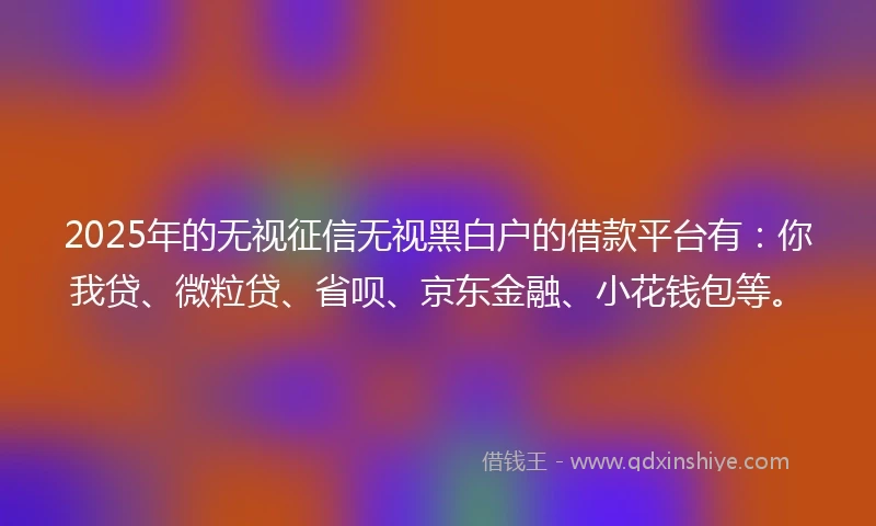 2025年的无视征信无视黑白户的借款平台有：你我贷、微粒贷、省呗、京东金融、小花钱包等。
