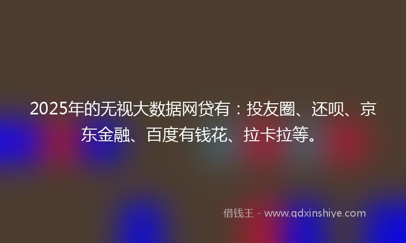 2025年的无视大数据网贷有：投友圈、还呗、京东金融、百度有钱花、拉卡拉等。