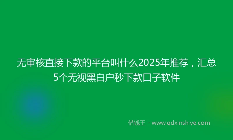 无审核直接下款的平台叫什么2025年推荐，汇总5个无视黑白户秒下款口子软件