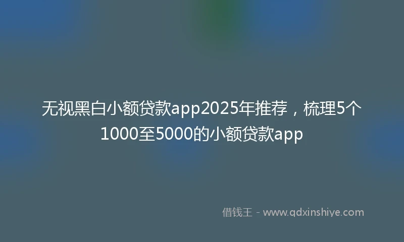 无视黑白小额贷款app2025年推荐，梳理5个1000至5000的小额贷款app