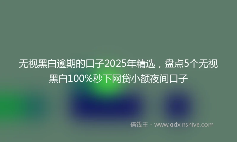 无视黑白逾期的口子2025年精选，盘点5个无视黑白100%秒下网贷小额夜间口子
