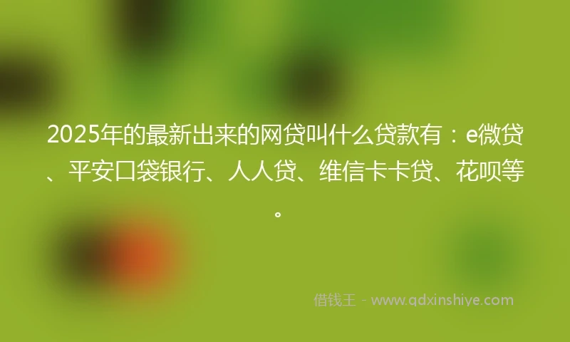 2025年的最新出来的网贷叫什么贷款有：e微贷、平安口袋银行、人人贷、维信卡卡贷、花呗等。
