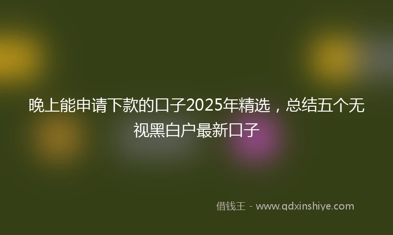 晚上能申请下款的口子2025年精选，总结五个无视黑白户最新口子