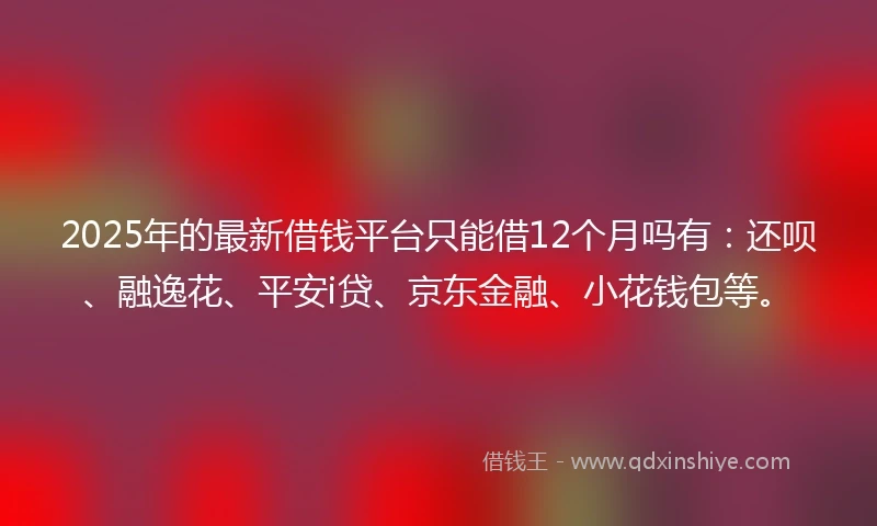 2025年的最新借钱平台只能借12个月吗有：还呗、融逸花、平安i贷、京东金融、小花钱包等。
