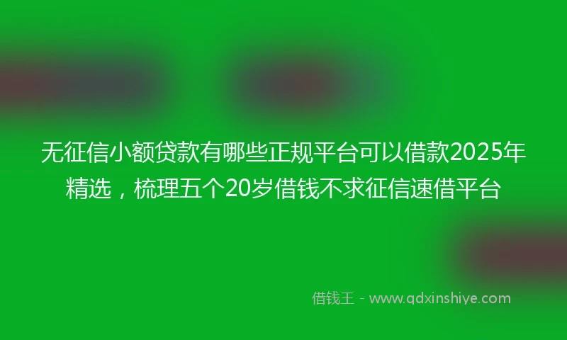 无征信小额贷款有哪些正规平台可以借款2025年精选，梳理五个20岁借钱不求征信速借平台