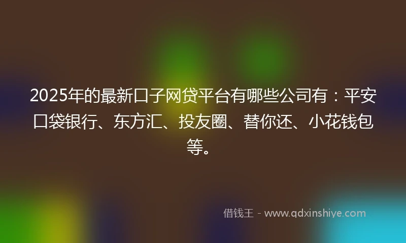 2025年的最新口子网贷平台有哪些公司有：平安口袋银行、东方汇、投友圈、替你还、小花钱包等。