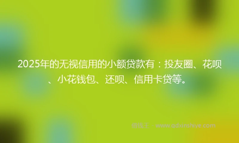 2025年的无视信用的小额贷款有：投友圈、花呗、小花钱包、还呗、信用卡贷等。