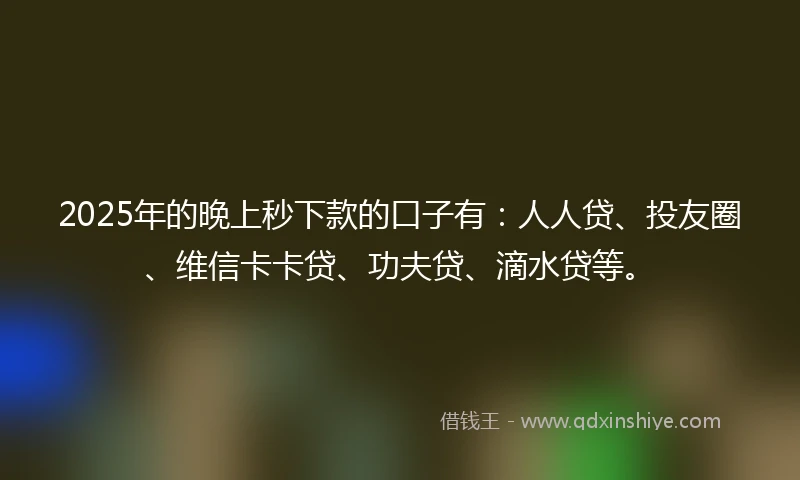 2025年的晚上秒下款的口子有：人人贷、投友圈、维信卡卡贷、功夫贷、滴水贷等。