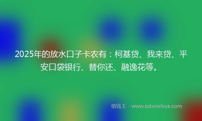 2025年的放水口子卡农有：柯基贷、我来贷、平安口袋银行、替你还、融逸花等。