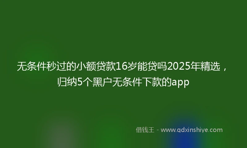 无条件秒过的小额贷款16岁能贷吗2025年精选，归纳5个黑户无条件下款的app