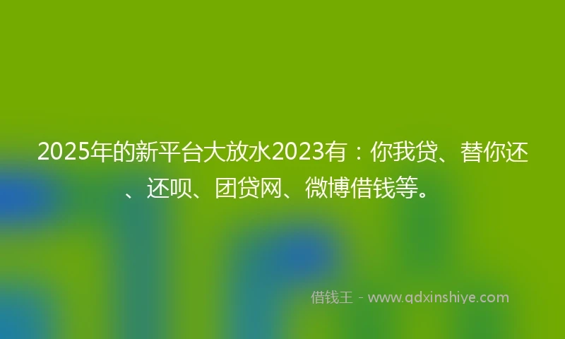 2025年的新平台大放水2023有：你我贷、替你还、还呗、团贷网、微博借钱等。