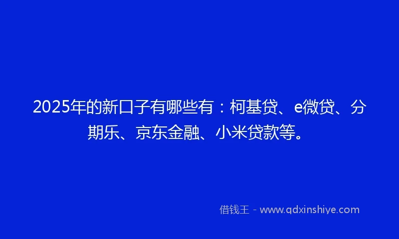 2025年的新口子有哪些有：柯基贷、e微贷、分期乐、京东金融、小米贷款等。