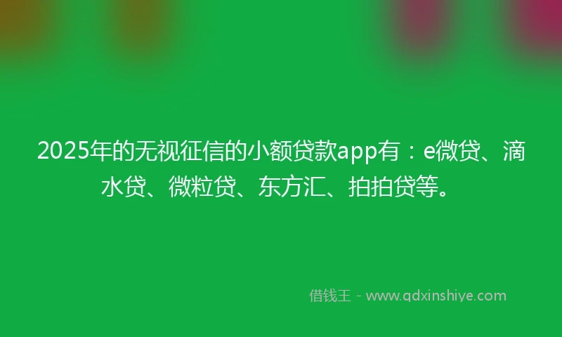 2025年的无视征信的小额贷款app有：e微贷、滴水贷、微粒贷、东方汇、拍拍贷等。