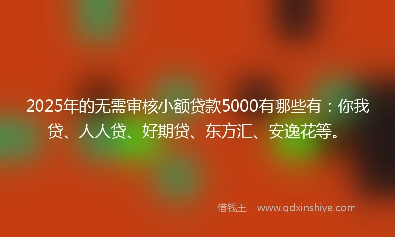 2025年的无需审核小额贷款5000有哪些有：你我贷、人人贷、好期贷、东方汇、安逸花等。